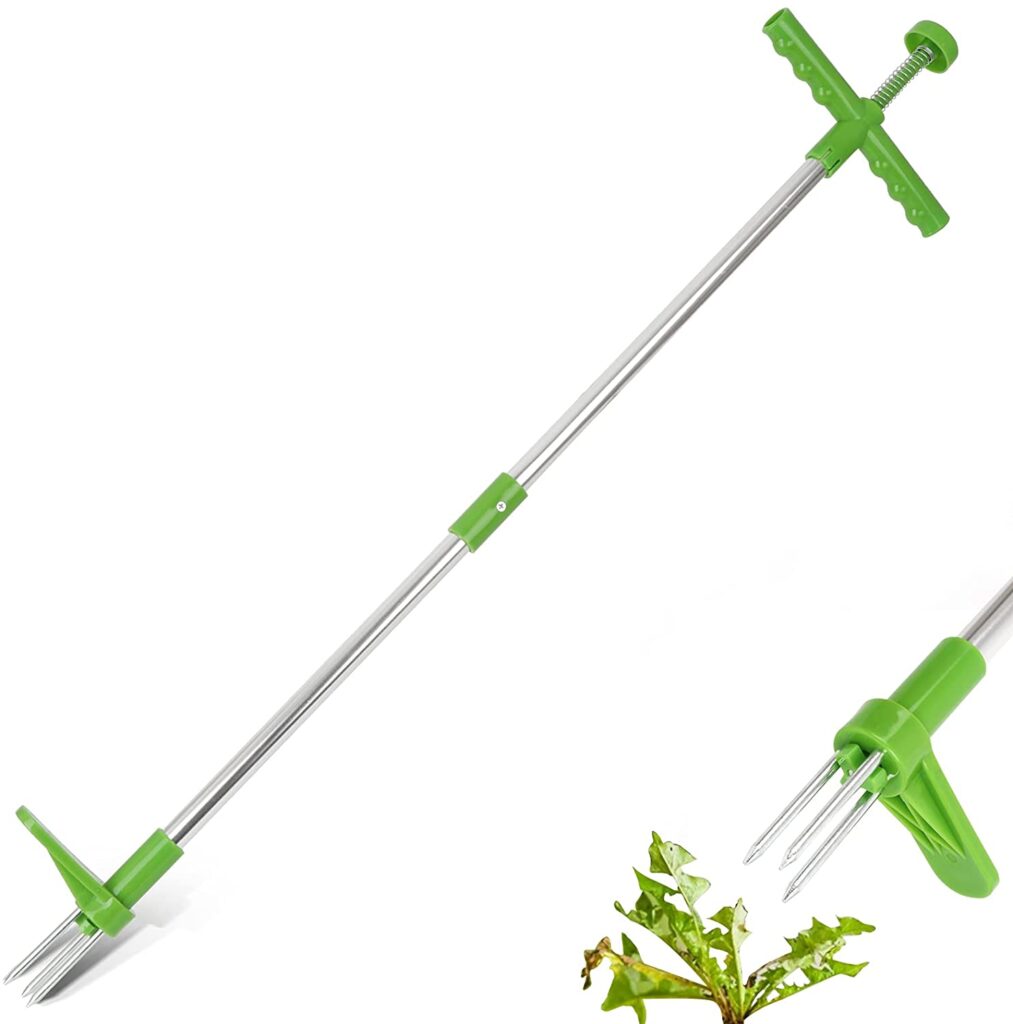 Best Long Handled Weeding Tools