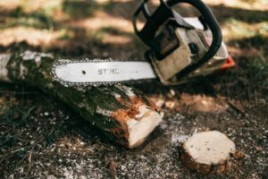 Chainsaw Safety Tips 