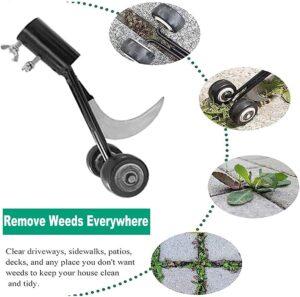 Dandelion Removal Tool