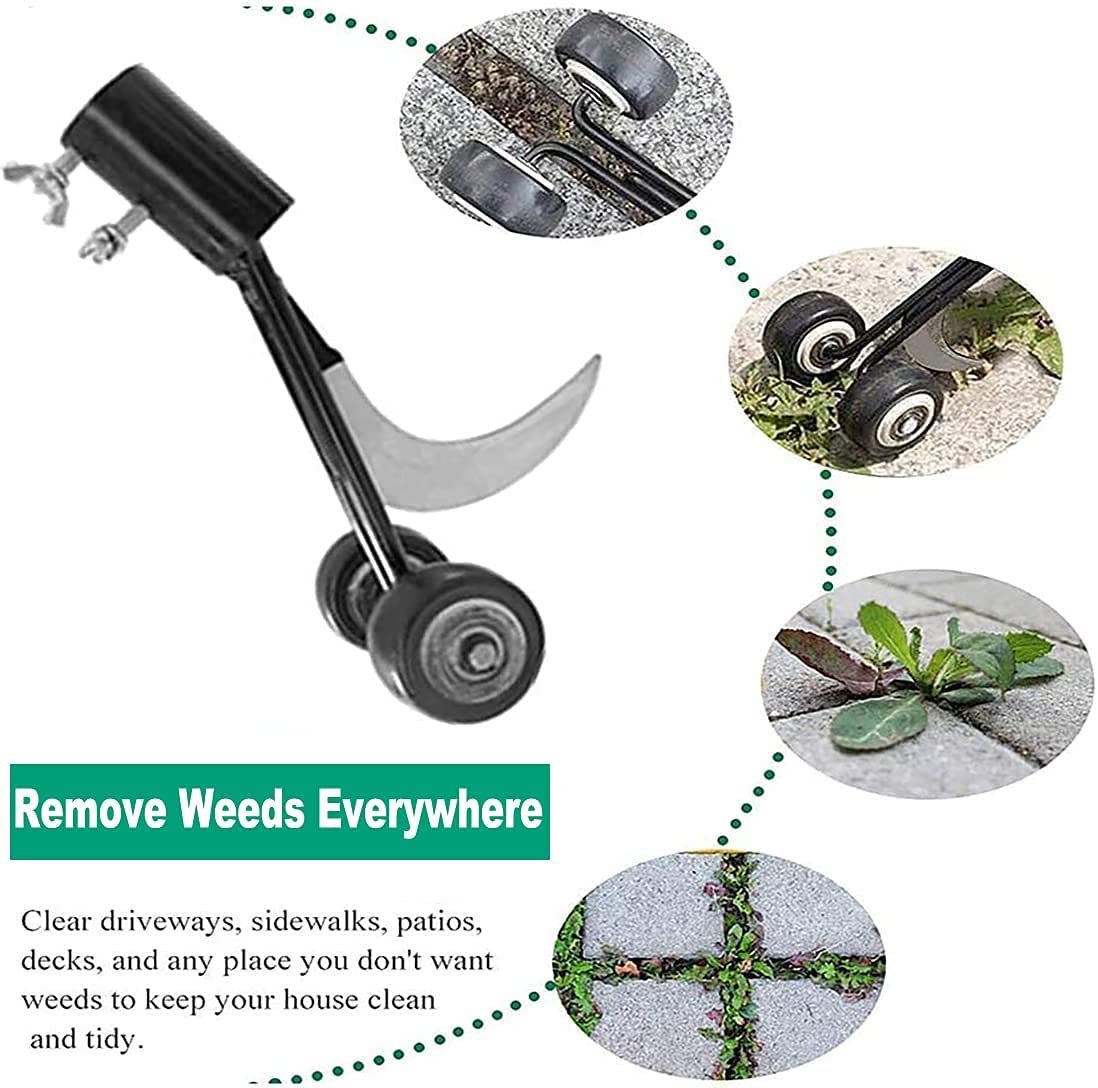 Best Dandelion Removal Tool 2022 A Complete Buying Guide Best For