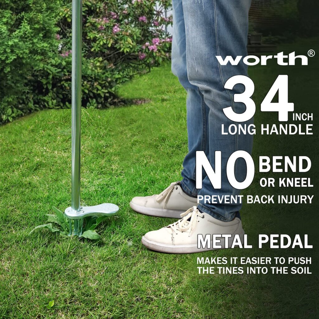 Best Dandelion Removal Tool 2022 A Complete Buying Guide Best For