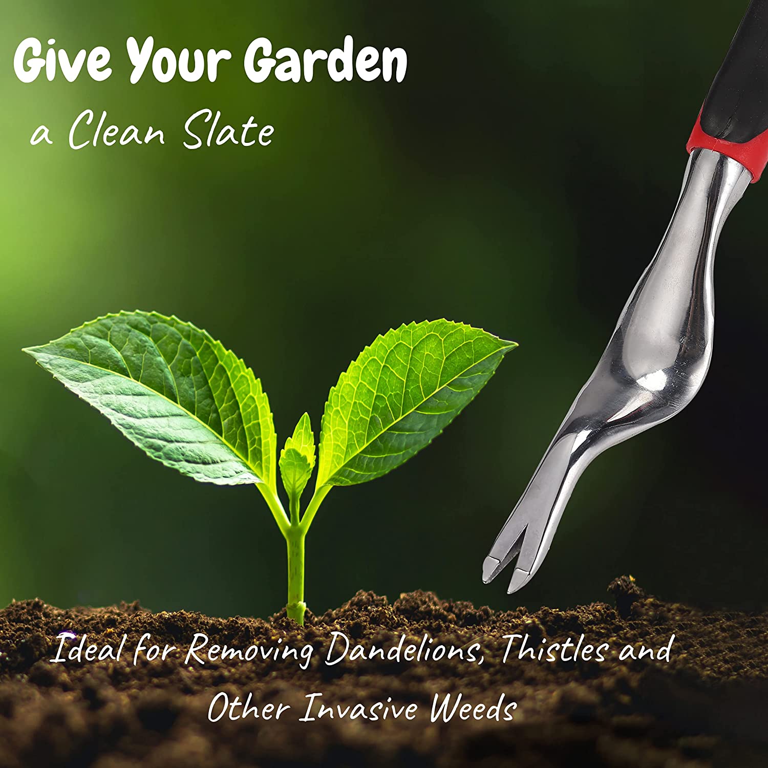 Best Dandelion Removal Tool 2022 A Complete Buying Guide Best For