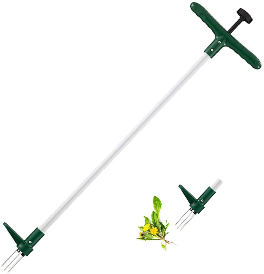Best Dandelion Removal Tool 2022 A Complete Buying Guide Best For