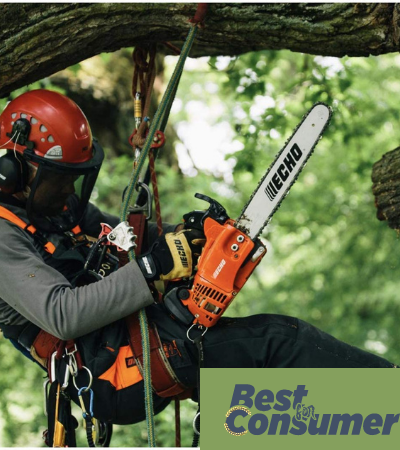 Best Top Handle Chainsaw 